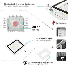 Carica l&#39;immagine nel visualizzatore di Gallery, MOMEX Faretti LED da esterno 10W alta luminosità 10W, Bianco Freddo/6500k - Ilgrandebazar