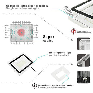 MOMEX Faretti LED da esterno 10W alta luminosità 10W, Bianco Freddo/6500k - Ilgrandebazar