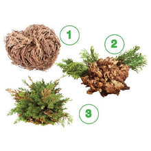 Carica l&#39;immagine nel visualizzatore di Gallery, Signum Rj02 Rosa di Jericho Multicolore - Ilgrandebazar