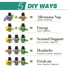 Carica l&#39;immagine nel visualizzatore di Gallery, Oli Essenziali per Diffusori, Set di olio essenziale 12 x 10 ml, Essenze Naturali olio essenziale,Tea Tree Lavanda Rosmarino Eucalipto Ylang-ylang Incenso Citronella Arancia Menta Limone Bergamotto