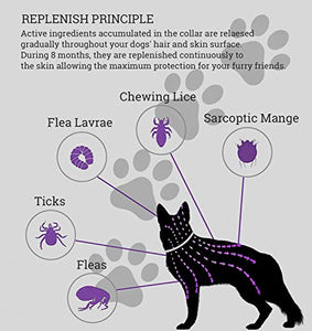 Collare antipulci e zecche per Cani, Regolabile Impermeabile, 1 pacco
