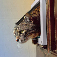 Carica l&#39;immagine nel visualizzatore di Gallery, Fontic Gattaiola Porta Basculante per Gatti e Cani, Entrata e L, Bianco - Ilgrandebazar