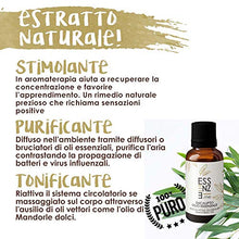 Carica l&#39;immagine nel visualizzatore di Gallery, ESSENZE OLIO ESSENZIALE DI EUCALIPTO Puro al 100% Naturale, Profumo Ambiente... - Ilgrandebazar