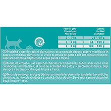 Carica l&#39;immagine nel visualizzatore di Gallery, Purina One Bifensis Crocchette Gatto Urinary Care Ricco in Pollo e Frumento...