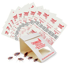 Carica l'immagine nel visualizzatore di Gallery, Catchmaster 100i - Trappole Scarafaggi 30x | Anti Blatte | Senza Veleno | Scarafaggi Disinfestazione | Trappola Adesiva con Esca Blatte - Efficace Contro Blatte Germaniche, Grilli e Ragni