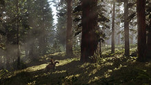 Carica l&#39;immagine nel visualizzatore di Gallery, Red Dead Redemption 2 - PlayStation 4