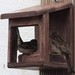Mangiatoie per uccelli wengue - Ilgrandebazar