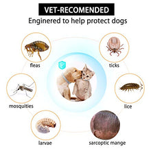 Carica l&#39;immagine nel visualizzatore di Gallery, NINGBO CHANSON Collare Antipulci per Cane e Gatto, 60cm Collare... - Ilgrandebazar
