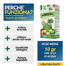 Carica l'immagine nel visualizzatore di Gallery, Albagarden - Bacillus Thuringiensis Kurstaki - Insetticida Piante Biologico Contro Parassiti, Insetti, Larve Dell'orto E Giardino, Polvere x 10 gr