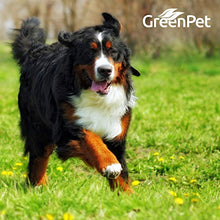 Carica l&#39;immagine nel visualizzatore di Gallery, GreenPet liquido per sverminazione al 100 % naturale 50 ml, ideale cani,...
