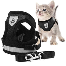 Carica l'immagine nel visualizzatore di Gallery, Toulifly Pettorina per Gatti,Harness Cat,Set di e Guinzaglio S