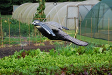 Carica l&#39;immagine nel visualizzatore di Gallery, Defenders - Esca volante a forma di falco 9.4x51.5x33.3 cm, Multicolore