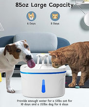 Carica l&#39;immagine nel visualizzatore di Gallery, Fontana per Gatti,Fontanella per Gatti da Interno Ultra Silenziosa da 2,5 Litri con Luce LED Filtro a Carbone Attivo Ciotola per Acqua per Fontana per Gatti per Più Animali Domestici