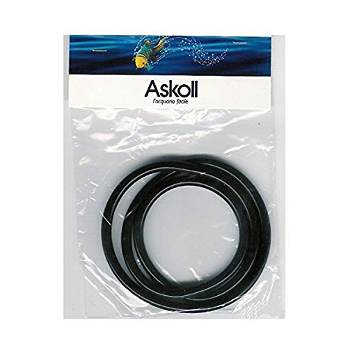 ASKOLL 922705 Guarnizione Pratiko 100/200 - Ilgrandebazar
