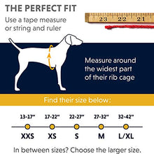 Carica l&#39;immagine nel visualizzatore di Gallery, RUFFWEAR Front Range™ Harness L/XL, Blu (Blue Dusk)