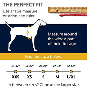 RUFFWEAR Front Range™ Harness L/XL, Blu (Blue Dusk)