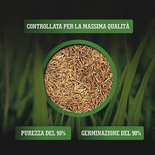 Carica l&#39;immagine nel visualizzatore di Gallery, LERAVA TURBO Semi da prato a germinazione rapida per zone fresche e climi continentali - garantisce colori verdi brillanti - con erba che cresce veloce - 30m²
