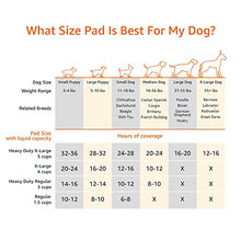 Carica l'immagine nel visualizzatore di Gallery, Amazon Basics, Tappetini per l'addestramento di cani e cuccioli, design a 5 strati a prova di perdite con superficie ad asciugatura rapida, dimensione standard, confezione da 100