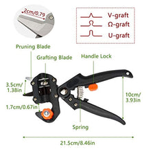 Carica l'immagine nel visualizzatore di Gallery, 1