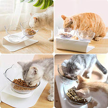 Carica l'immagine nel visualizzatore di Gallery, VZATT Ciotole per Gatti, 15 ° Inclinata Doppio Gatto Ciotola con Supporto L