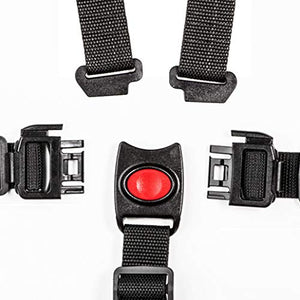 Silingsan 5 Punti Cintura Sicurezza Bambini con Imbottitura Delle Spalle...