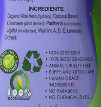 Carica l&#39;immagine nel visualizzatore di Gallery, Espree Energee Plus 591 ml