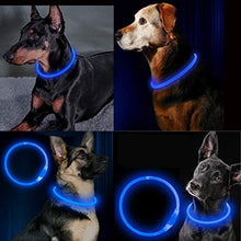 Carica l'immagine nel visualizzatore di Gallery, Homeculb - Collare Luminoso per Cani, Ricaricabile Tramite USB, Colori blue