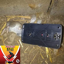 Carica l&#39;immagine nel visualizzatore di Gallery, GIVERNY Trappola per Ratti &amp; Topi XXL (Casella da 6) Potente, Facile da...