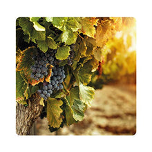 Carica l&#39;immagine nel visualizzatore di Gallery, Albagarden - Piante Frutta Naturale Bio Polti20 Biologico Bordolese Rame + Boro Orto Vite Peronospora Oidio Verderame Solfato Ossicloruro x 1 kg