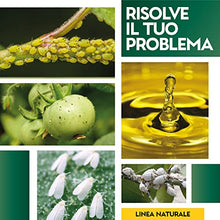 Carica l'immagine nel visualizzatore di Gallery, Albagarden - Olio Di Neem Per Piante 1 Litro - Naturale Concentrato Contro Insetti Funghi Cocciniglia, Acari Afidi Pulci, Cimici, Pidocchi, Vespe E Calabroni - Spray Pronto Uso