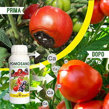 Carica l&#39;immagine nel visualizzatore di Gallery, I Consigli Dell&#39;Esperto Pomosano Concime Minerale e Calcio, 500 gr