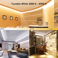 Carica l'immagine nel visualizzatore di Gallery, Lepro 10M Striscia LED Dimmerabile, 3000K-6000K (Bianco Caldo a Freddo) Strisce LED Autoadesive, 3 Modalità, 600 LED SMD 2835, 12V Striscia Luminosa LED Flessibile per Decorazione Interna Casa Festa