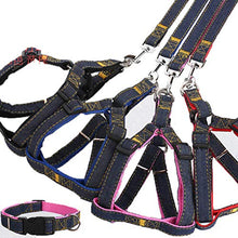 Carica l&#39;immagine nel visualizzatore di Gallery, Set guinzaglio per Cani Collare in Denim Gatto di Small, Nero - Ilgrandebazar