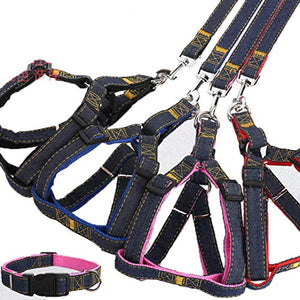 Set guinzaglio per Cani Collare in Denim Gatto di Small, Nero - Ilgrandebazar