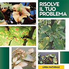 Carica l&#39;immagine nel visualizzatore di Gallery, Albagarden - Rame + Zolfo Spray 1 Litro - Concime Effetto Fungicida Piante Contro Le Malattie - Per Ingiallimenti, Carenze, Macchie Brune, Oidio, Peronospora - Per Orto Giardino E Piante Verdi