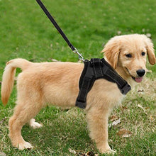 Carica l&#39;immagine nel visualizzatore di Gallery, Funkeen, pettorina imbottita per cani senza tirare, regolabile, m, Nero