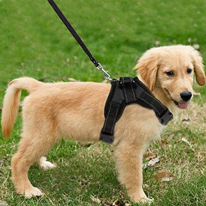 Funkeen, pettorina imbottita per cani senza tirare, regolabile, m, Nero
