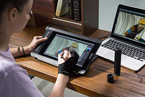 XP-PEN Artist 12 Tavoletta Grafica con Schermo HD 11,6 12 Standard