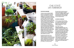 Terrarium. Mondi vegetali sotto vetro (Italiano) Copertina flessibile – 1... - Ilgrandebazar