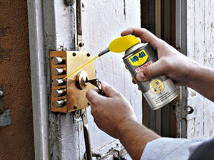 WD-40 Specialist - Lubrificante Serrature Spray Anticorrosivo con Sistema... - Ilgrandebazar
