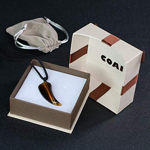 COAI Pendente Dente di Lupo in Occhio Tigre, Collana da Uomo in...