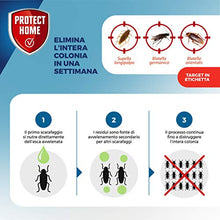 Carica l'immagine nel visualizzatore di Gallery, Protect Home Fastion Gel Scarafaggi, Insetticida gel pronto all’uso, Veleno scarafaggi, Efficace Elimina l’intera colonia in breve tempo, Azione per ingestione. Ambienti interni. 20g