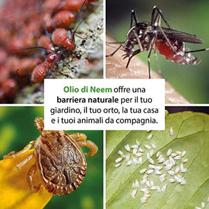bio A.L.T Olio di Neem 250 ml Insetticida, Repellente, Disinfettante Bio...