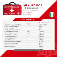 Carica l'immagine nel visualizzatore di Gallery, AIESI® Cassetta medica di pronto soccorso (Borsa) con ALLEGATO 2 per aziende meno 3 dipendenti # Conforme DM388/DL81 # Made in Italy