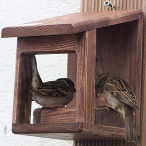 Mangiatoie per uccelli wengue - Ilgrandebazar