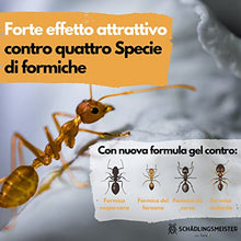 Carica l&#39;immagine nel visualizzatore di Gallery, Panteer ® Lattina di esca per formiche - 4 esche per formiche - Facile controllo delle formiche con veleno per formiche - Contro più di 3 specie - Per interni e per le formiche nel prato