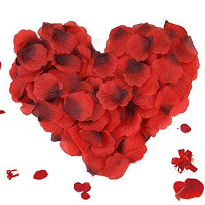 ASANMU 3000 Pezzi Petali di Rosa Rossa, Fiori Finti, Rosso - Ilgrandebazar