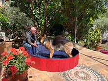 Carica l&#39;immagine nel visualizzatore di Gallery, Femor Piscina per Cani, Gatti, Bagno 160x160x30cm, Rosso