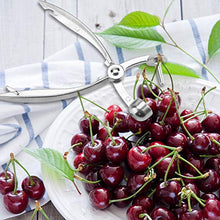 Carica l'immagine nel visualizzatore di Gallery, Toulifly Snocciolatore Ciliegie,Snocciolatore Olive,Snocciolatore Ciliegie e...