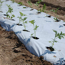 Carica l'immagine nel visualizzatore di Gallery, tenax Black White Cover 1,40x10 m Bianco/Nero, Film Antierbacce per Pacciamatura, Forzante della Maturazione